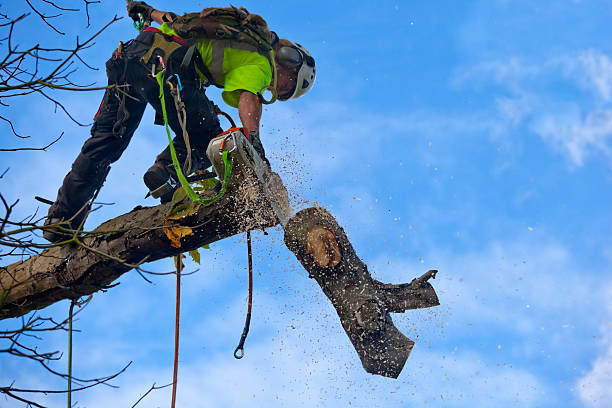 Soil Testing and Treatment in Vergennes, VT